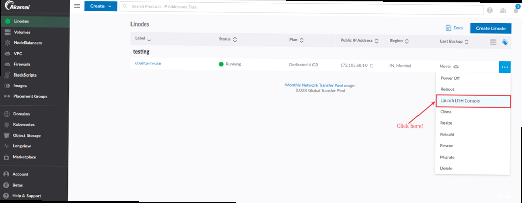 How to use linode - Illustration for Detailed explanation of connecting to your server via SSH and the Linode's Lish console.  Comprehensive coverage of the Linode Manager interface, including navigating its features for server management, backups, networking, and billing.
